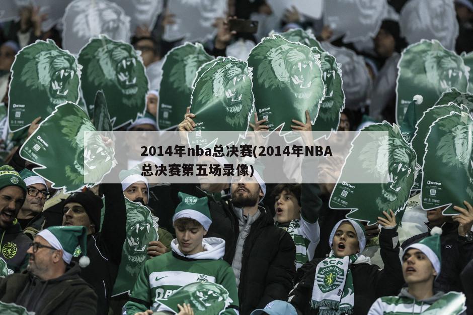 2014年nba总决赛(2014年NBA总决赛第五场录像)