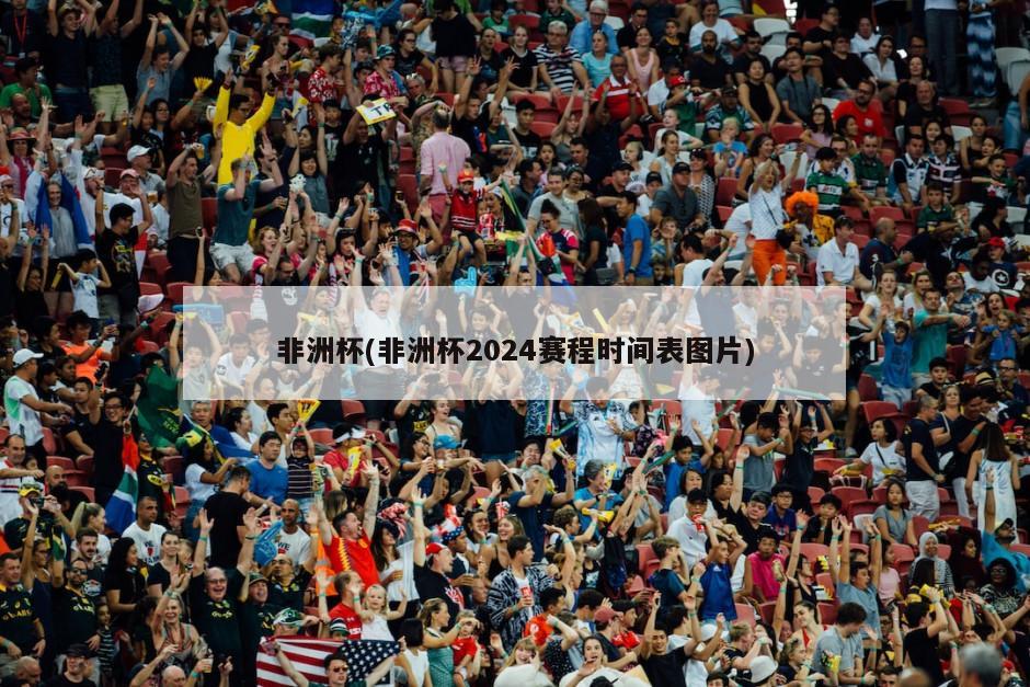 非洲杯(非洲杯2024赛程时间表图片)