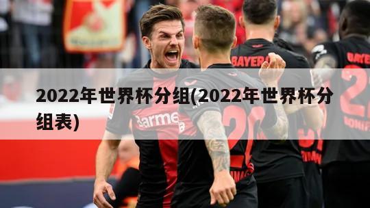 2022年世界杯分组(2022年世界杯分组表)