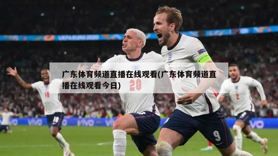 广东体育频道直播在线观看(广东体育频道直播在线观看今日)