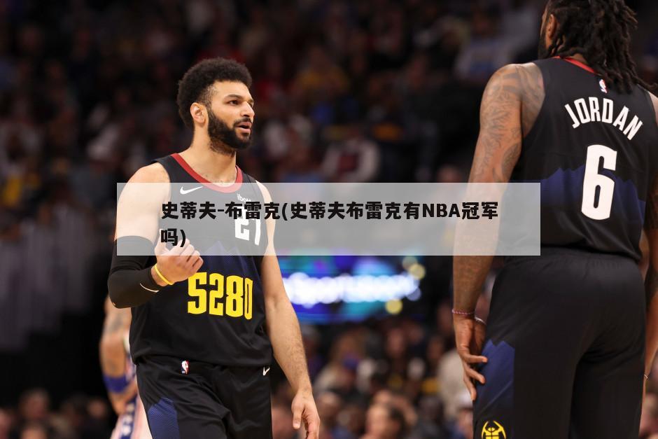 史蒂夫-布雷克(史蒂夫布雷克有NBA冠军吗)