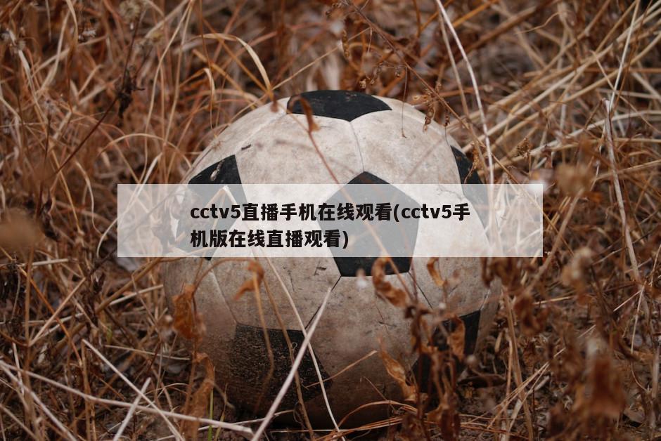 cctv5直播手机在线观看(cctv5手机版在线直播观看)