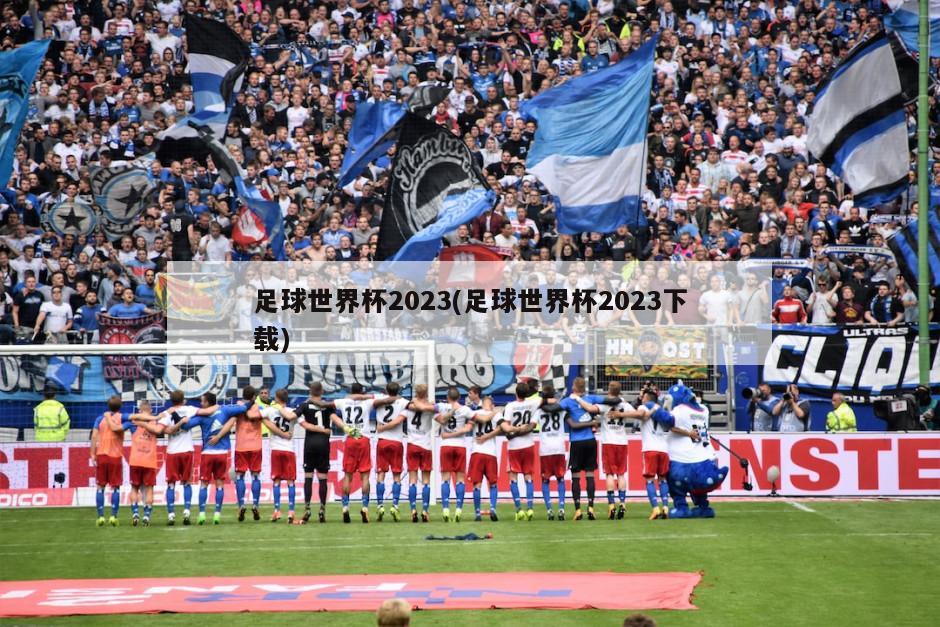 足球世界杯2023(足球世界杯2023下载)