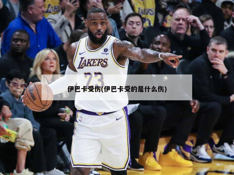 伊巴卡受伤(伊巴卡受的是什么伤)