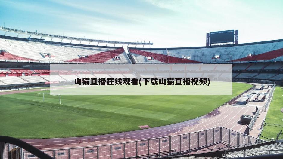 山猫直播在线观看(下载山猫直播视频)
