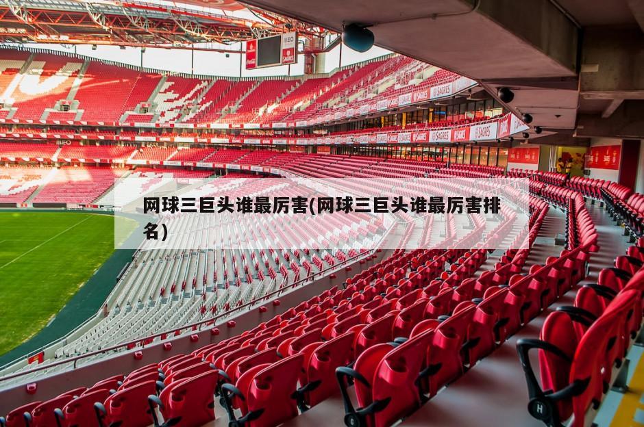 网球三巨头谁最厉害(网球三巨头谁最厉害排名)