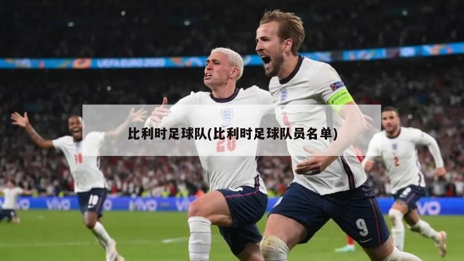 比利时足球队(比利时足球队员名单)