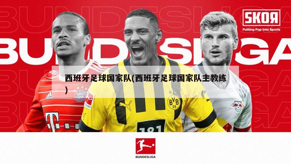 西班牙足球国家队(西班牙足球国家队主教练)