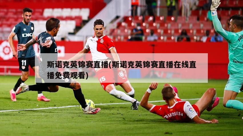 斯诺克英锦赛直播(斯诺克英锦赛直播在线直播免费观看)
