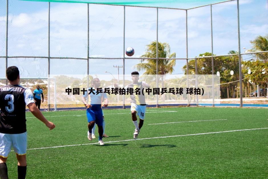 中国十大乒乓球拍排名(中国乒乓球 球拍)