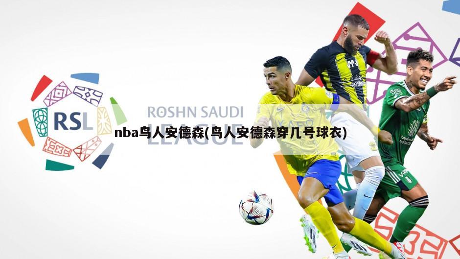nba鸟人安德森(鸟人安德森穿几号球衣)