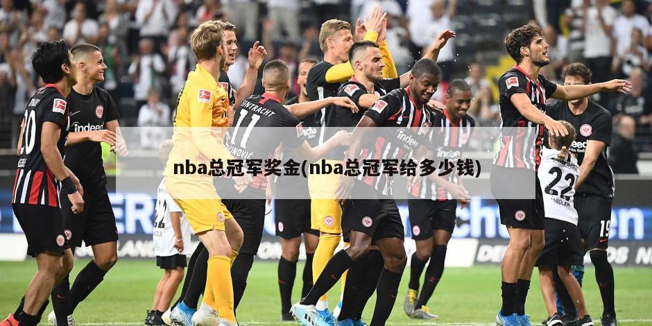 nba总冠军奖金(nba总冠军给多少钱)