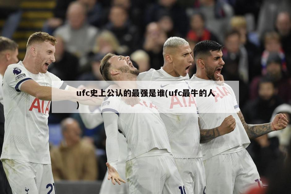 ufc史上公认的最强是谁(ufc最牛的人)