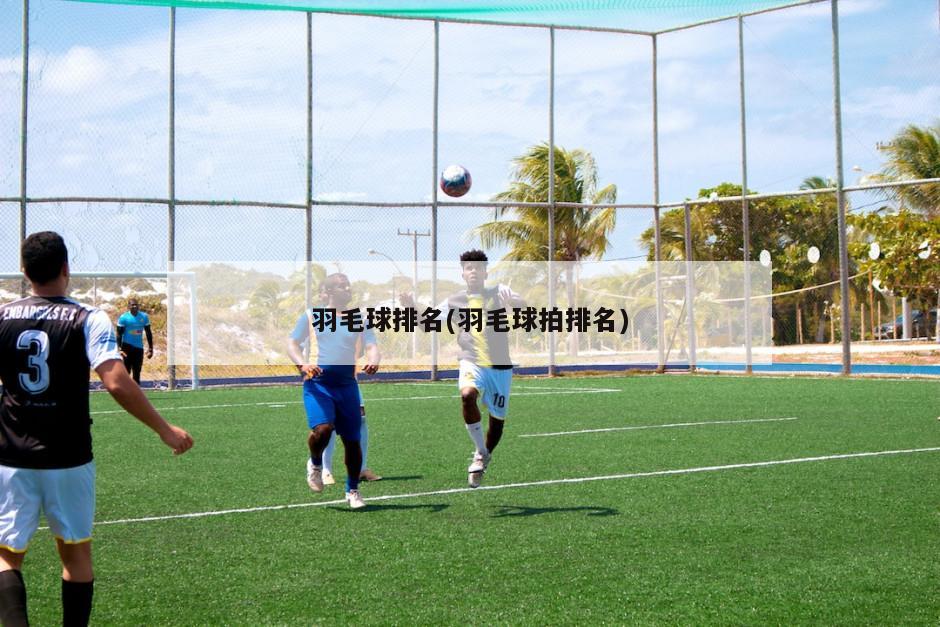 羽毛球排名(羽毛球拍排名)