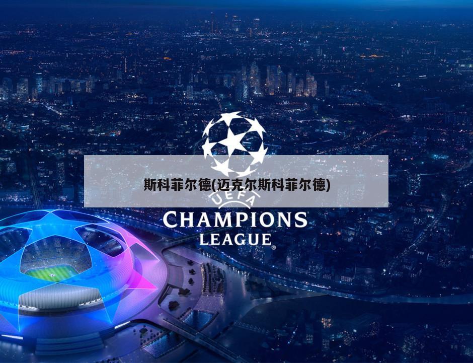 斯科菲尔德(迈克尔斯科菲尔德)