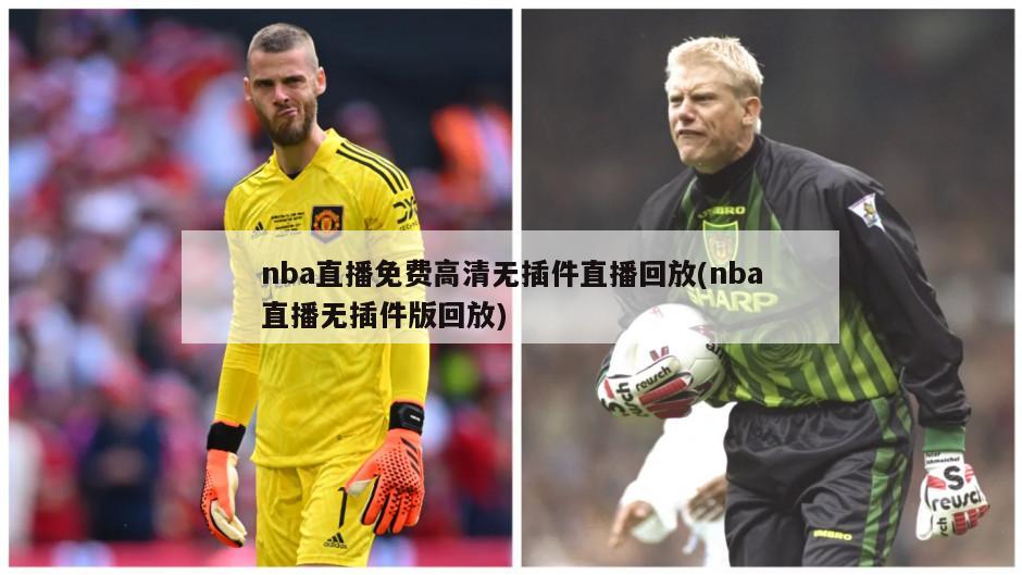 nba直播免费高清无插件直播回放(nba直播无插件版回放)